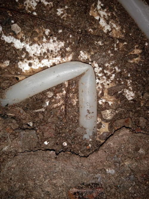 绥棱堵点精准查找